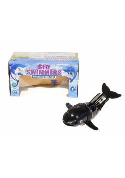 Delfin pływający