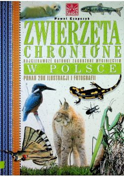 Zwierzęta chronione w Polsce
