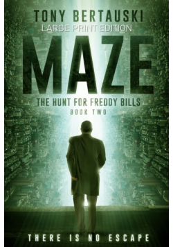 Maze (Large Print Edition)