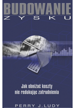 Budowanie zysku