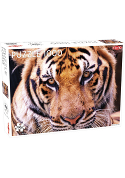 Puzzle Tygrys 1000