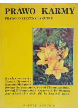 Prawo karmy, prawo przyczyny i skutku