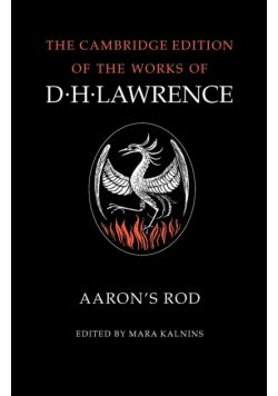 Aaron's Rod