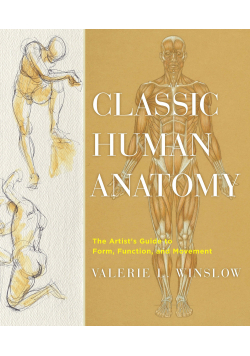 Classic human anatomy