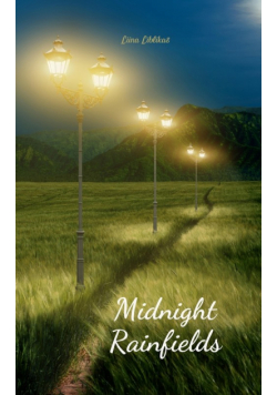 Midnight Rainfields