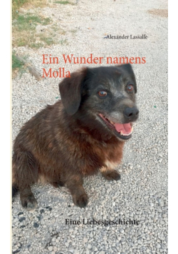Ein Wunder namens Molla