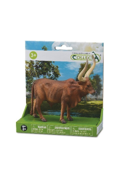 Byk Ankole-Watusi w opakowaniu