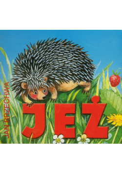 Jeż