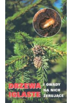 Drzewa iglaste i owady na nich żerujące