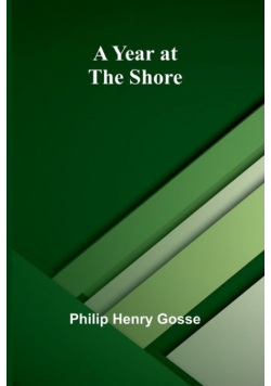 A Year at the Shore