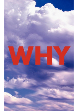 Why