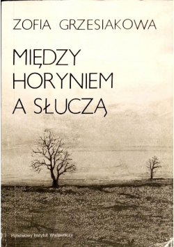Między Horyniem a Słuczą