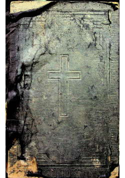 Biblia to jest Księgi Starego i Nowego Testamentu 1923 r.