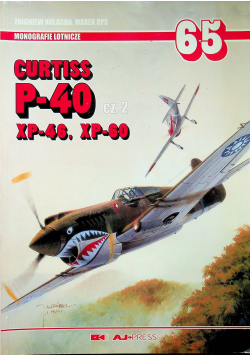 Curtiss p 40 cz 2