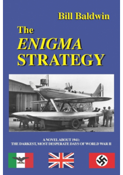 The Enigma Strategy