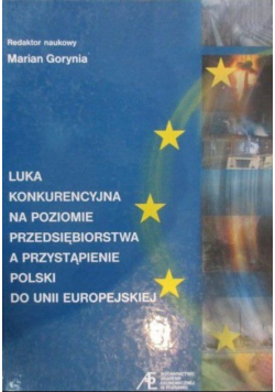 Luka konkurencyjna na poziomie przedsiębiorstwa a przystąpienie Polski do Unii Europejskiej