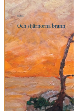 Och stjärnorna brann