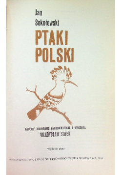 Ptaki polski