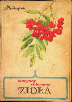Wszyscy zbieramy zioła