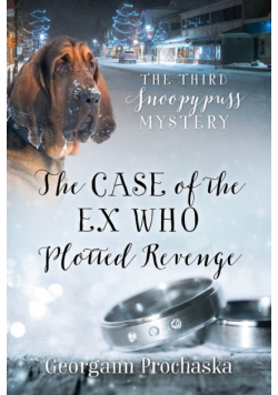 The Case of the Ex Who Plotted Revenge
