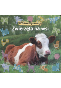Maluch poznaje : Zwierzęta na wsi
