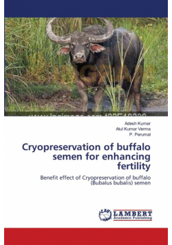 Cryopreservation of buffalo semen for enhancing fertility
