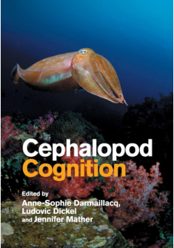 Cephalopod Cognition
