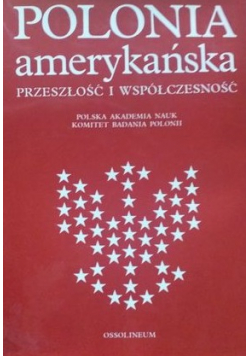 Polonia amerykańska