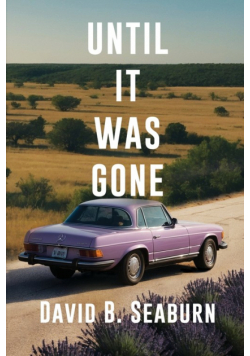 Until It Was Gone