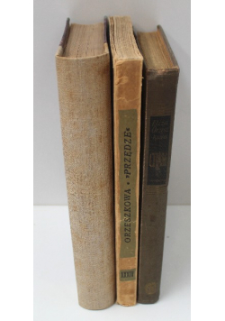 Box 8 - Eliza Orzeszkowa (poz. 3)