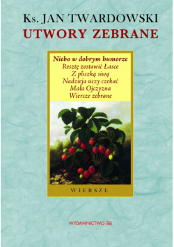 Wiersze: Niebo w dobrym humorze