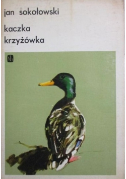 Kaczka krzyżówka