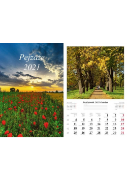 Kalendarz 2021 Pejzaże 7 planszowy RADWAN