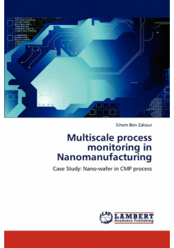 Multiscale process monitoring in Nanomanufacturing