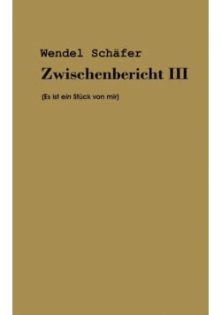 Zwischenbericht III