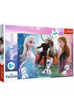 Puzzle 300 Magiczny czas Disney Frozen 2