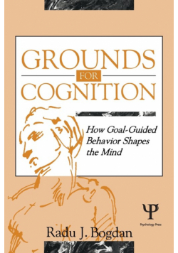 Grounds for Cognition