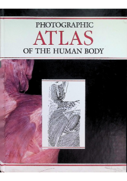 Vidic photographic atlas of the human body
