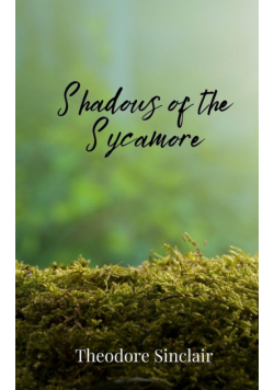 Shadows of the Sycamore