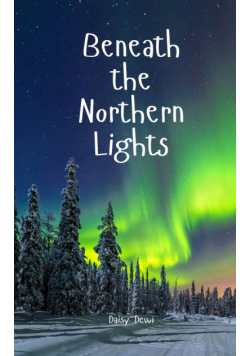 Beneath the Northern Lights