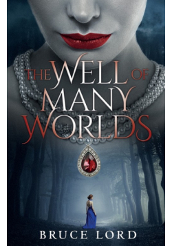 The Well of Many Worlds