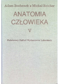 Anatomia człowieka Tom V