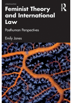 Feminist Theory and International Law