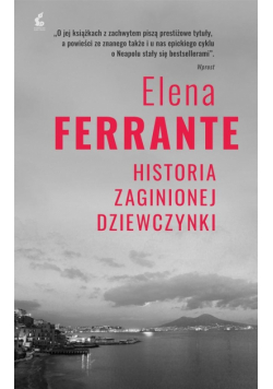 Cykl neapolitański T.4 Historia zaginionej.. w.4