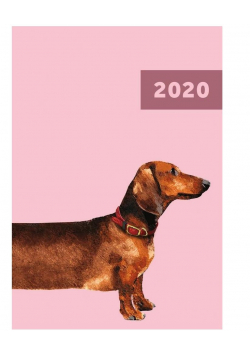 Kalendarz 2020 A6 tygodniowy Overgrown NARCISSUS