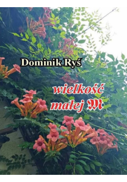 Wielkość małej m