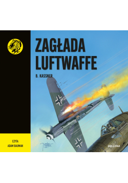 Zagłada Luftwaffe. Żółty tygrys