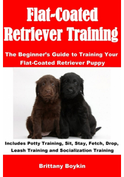 Flat-Coated Retriever Training
