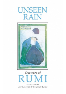 Unseen Rain