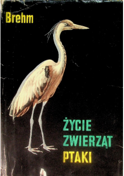 Życie zwierząt Ptaki